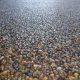 10 Great Reasons to Upgrade to Resin Bound Paving 1